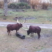 毎日来ていた！