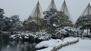 やはり雪景色が似合いますね