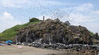 うみねこがいっぱい