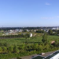 部屋からの景色です