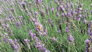 ゆ～っくりできます。