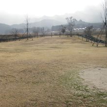 ドッグランかなり広いです