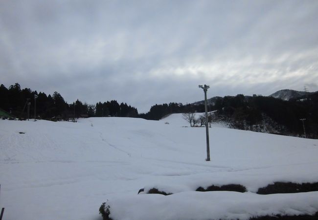 雪の閑乗寺公園