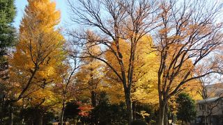 有栖川宮記念公園　緑豊かな都会の癒し空間です。