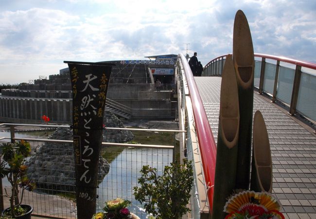 道の駅 鴨川オーシャンパーク