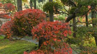 静かなお寺でゆったりと紅葉＆庭園鑑賞