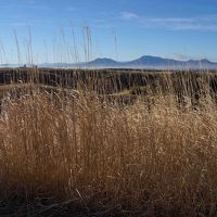 瀬の本高原です。