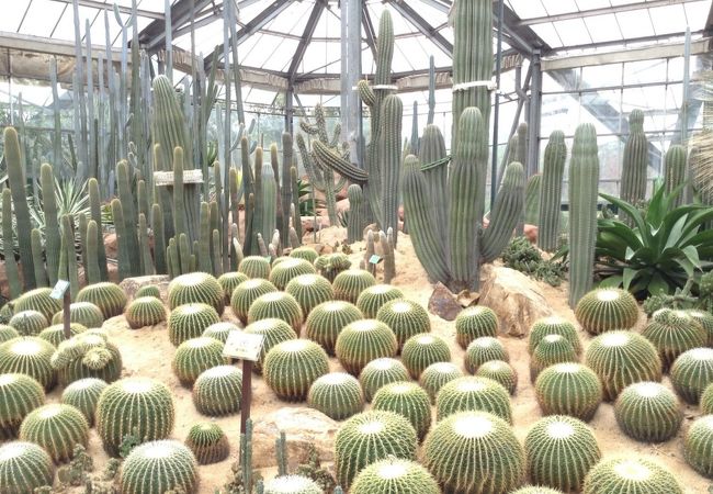 華南植物園 　