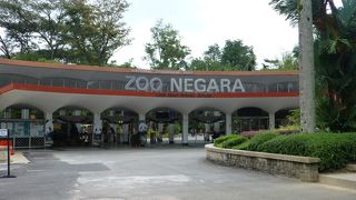 行かない方がよかった