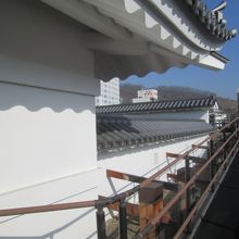 展示館からスロープの通路が伸びており…