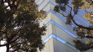 妙な色のビルです。