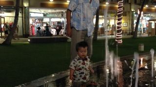 芝生と噴水がうれしい