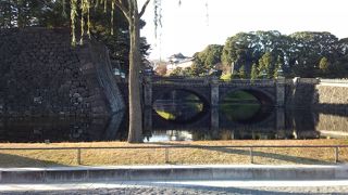 大きな和の庭園