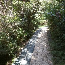 だいたいがこのような道でした。