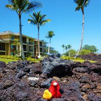 溶岩とキングスランドのビルディング