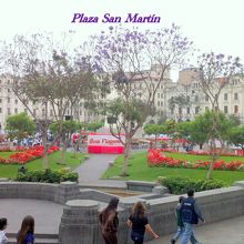 薄紫のジャカランダの花咲く広場