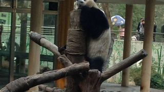 広州動物園