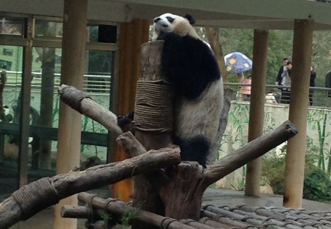 広州動物園