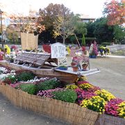 「ひらかた菊フェスティバル」が開催される岡東中央公園