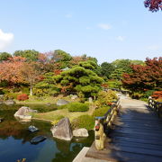 紅葉が素敵な公園