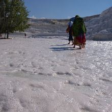 白く光ってます。