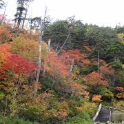 金精峠の紅葉