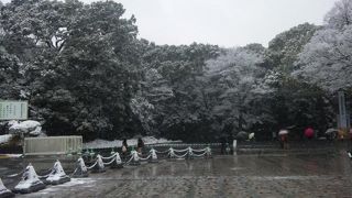 初詣は首都圏で一番並ぶと思う。