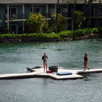 イルカラグーン