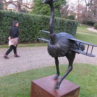 ダチョウの飛行機