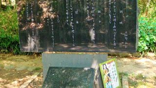 気持ちの良い散歩道