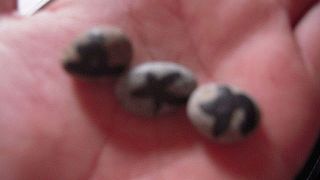 苦労して石を探し出すのが楽しい！