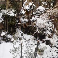 雪が降り積もる中庭