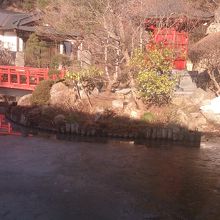 ここに白蛇がいます。もちろん本物ではないです(笑)