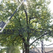 世界史の教科書にもありました。