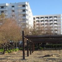 ビーチからみた外観。目の前がエーゲ海です。