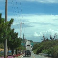 奥に見えるのが橋です。ここから先は是非実際に訪れてください！