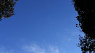 外とは別世界のような不思議で神秘的な空間