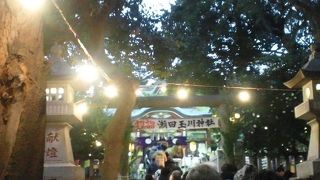 今年は暖かい初詣でした。