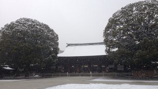 大雪の明治神宮。