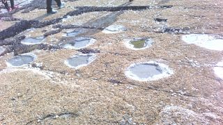 固城恐竜博物館