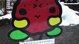 バスツアーのお土産どころ