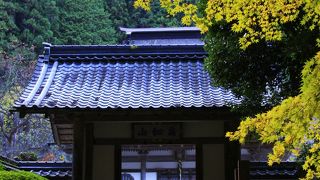 静かに紅葉が楽しめる丹波の古刹