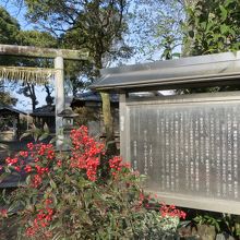 鳥居と説明書き。