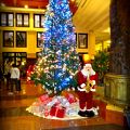 大きなクリスマスツリーが飾ってあったホテル!!