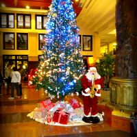 サンタさんとクリスマスツリーがお出迎え!!