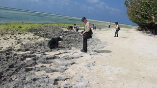 お土産物が数点・・・