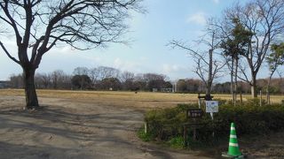 公園の少ない京都では広い公園