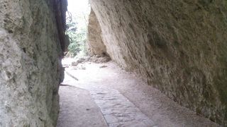 神秘的で幻想的な空間