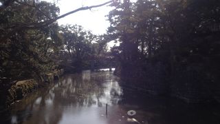 桜の名所・岡崎公園