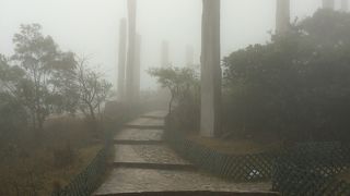 霧のせいで神秘的な雰囲気倍増
